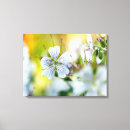 Search for geranium canvas prints Nature
