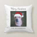 Search for christmas dog cushions Pet