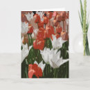 Search for festivity cards Nature