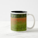 Search for poppy field mugs Plants