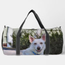Search for gsd bags Canine