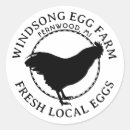 Search for egg rock Chicken