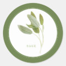 Search for garden herbs stickers Botanical