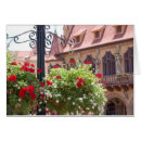 Search for epcot Flowers