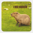 Search for zoo gift wrap Capybara