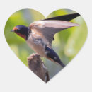 Search for educational photography Animals