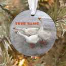 Search for wings christmas tree decorations Animals