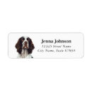 Search for springer spaniel return address labels Puppy