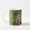 Search for cute meerkat mugs Mammal