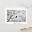 Search for crowing postcards Photograph