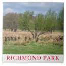 Search for deer tiles Animals