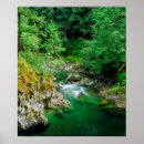 Search for canadian forest posters Blue