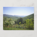 Search for 1 postcards Summer