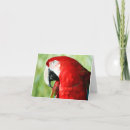Search for scarlet cards Wildlife
