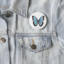 Search for morpho badges Nature