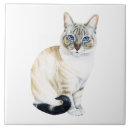 Search for point tiles Cat