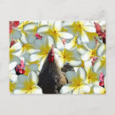 Search for roosters postcards Flowers