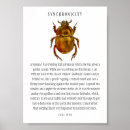 Search for beetle bug posters Halloween