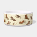 Search for beach dog bowls Dogs