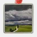 Search for weather christmas tree decorations Green