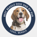 Search for pet stickers Dog photo