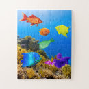 Search for tropical fish puzzles Coral reef