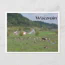 Search for holstein cow postcards Pasture