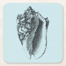 Search for sea shell coasters Coastal