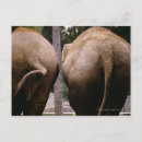 Search for rear view postcards Horizontal