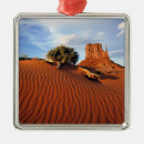 Search for indian christmas tree decorations Nature