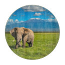 Search for elephant chopping boards Maasai mara national reserve