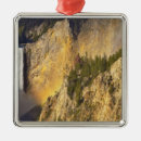 Search for wyoming christmas tree decorations River