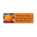 Search for pine cones return address labels Fall