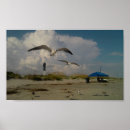 Search for sc art United states