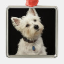 Search for innocence christmas tree decorations Animal