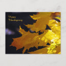 Search for filter postcards Fall