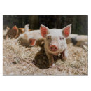Search for pig chopping boards Animal