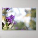 Search for beautiful garden posters Photography
