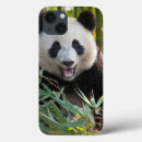 Search for panda ipad cases China