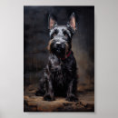 Search for scottish terrier posters Black