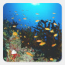 Search for swimming fish stickers Nature