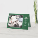 Search for clover photo cards Clovers