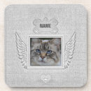 Search for rainbow bridge cat poem In loving memory