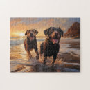 Search for chocolate lab puppy puzzles Brown