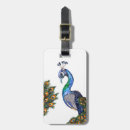 Search for peafowl accessories Nature