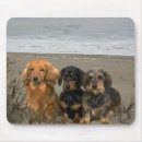 Search for dachshund mousepads Animals