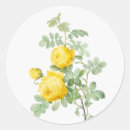 Search for watercolor rose stickers Garden