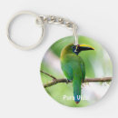 Search for blue morpho butterfly key rings Green