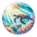 Search for turtle knobs and pulls Ocean