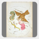 Search for chart stickers Celestial map